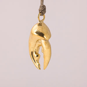
                
                    Load image into Gallery viewer, Crab Claw Pendant , Gold Plated
                
            