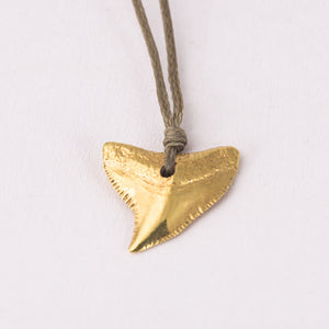 
                
                    Φόρτωση εικόνας στο Viewer Gallery, Shark Tooth Pendant, Gold Plated
                
            