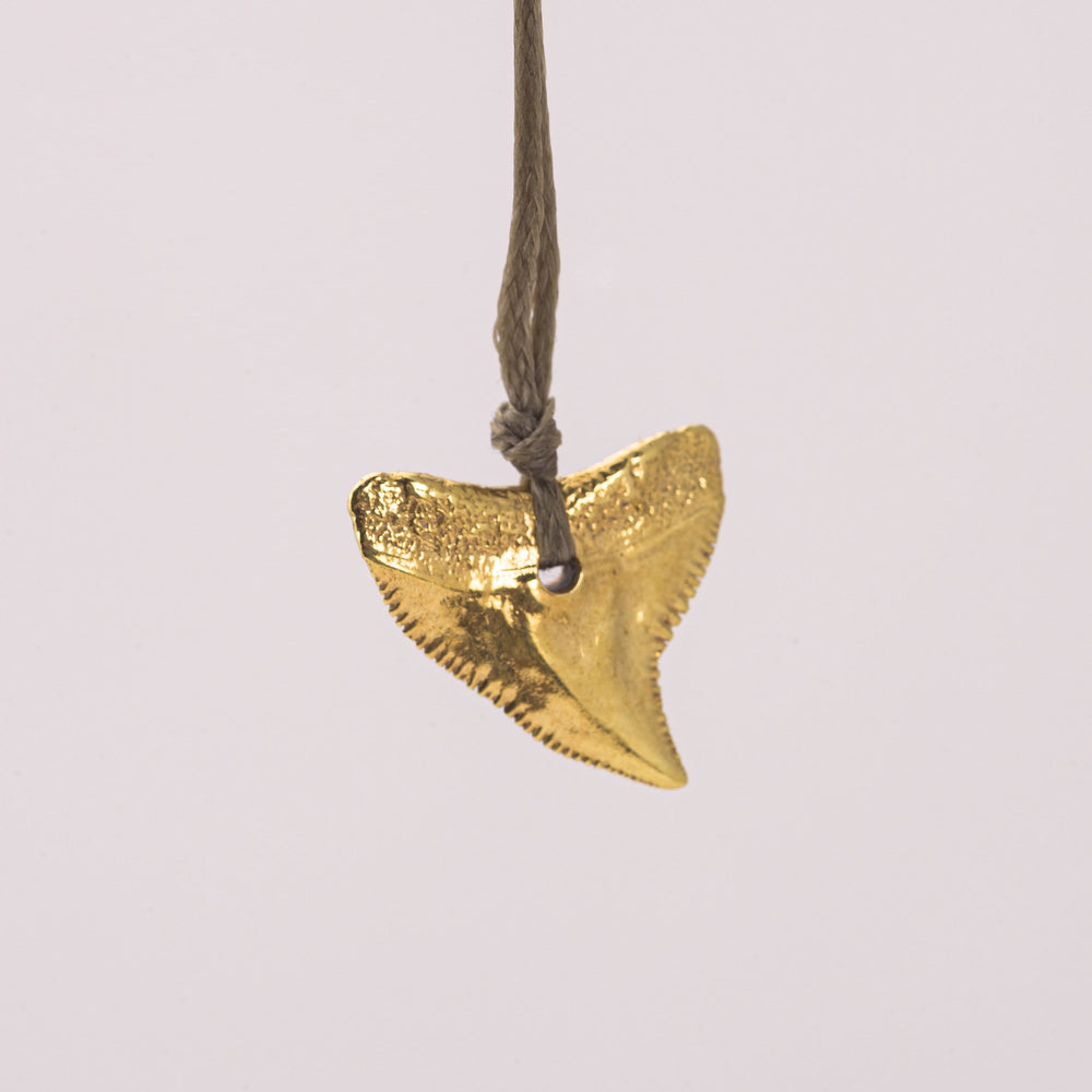 
                
                    Load image into Gallery viewer, Shark Tooth Pendant, Gold Plated
                
            