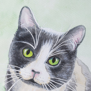 
                
                    Φόρτωση εικόνας στο Viewer Gallery, Watercolour Painting Cat Series no 3, Framed
                
            