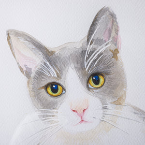 Watercolour Painting Cat Series no 5, Framed